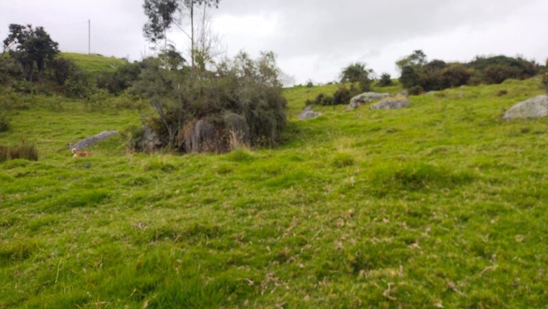 VENDO FINCA - COGUA CUNDINAMARCA