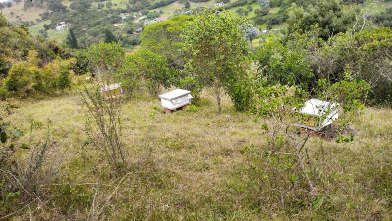 VENDO FINCA - COGUA CUNDINAMARCA