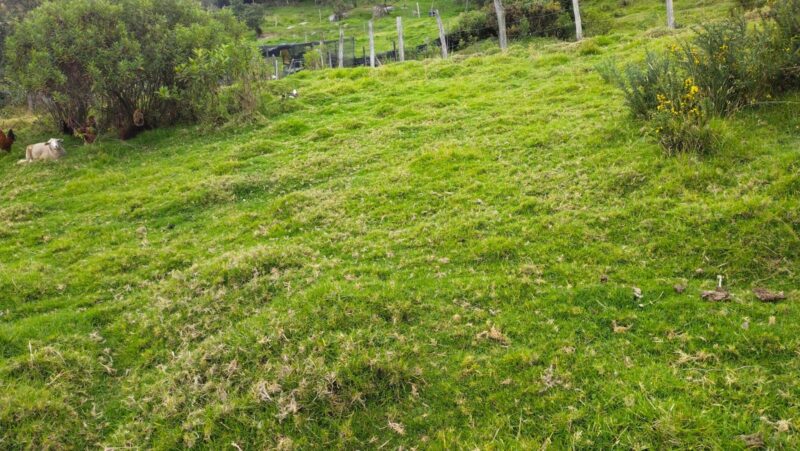 VENDO FINCA - COGUA CUNDINAMARCA